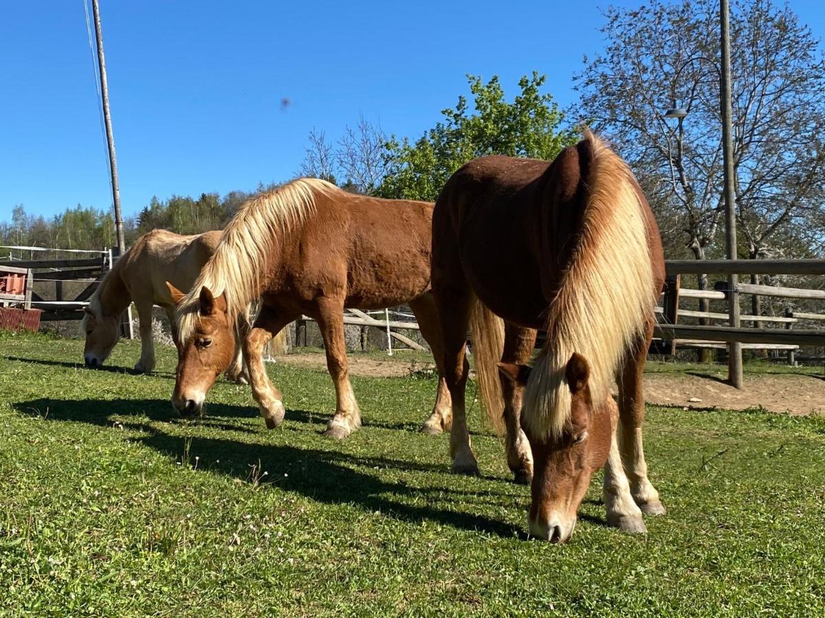 Ranch Enbruca Διαμέρισμα Boves Εξωτερικό φωτογραφία